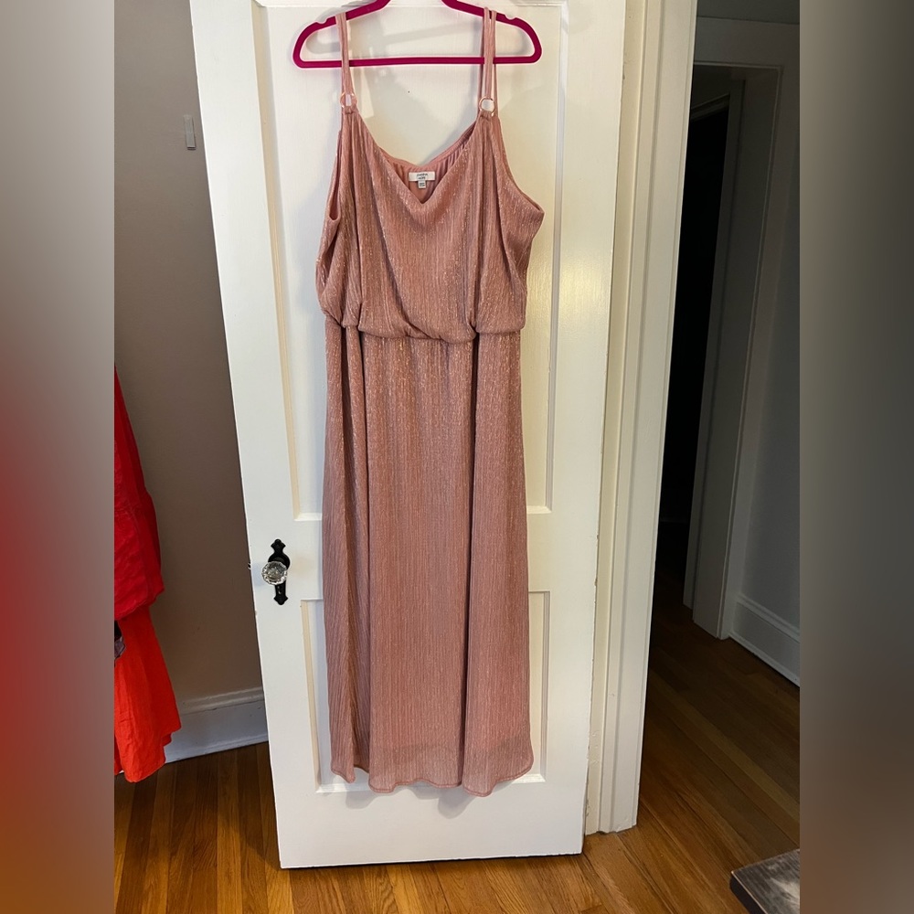 Joanna Hope dress size 26.